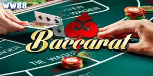 Baccarat Trực Tuyến - Cách Chinh Phục Trò Chơi Đánh Bạc