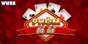 Cách Chơi Bài Phỏm Dễ Hiểu Cho Người Mới Bắt Đầu Trang chủ WW88