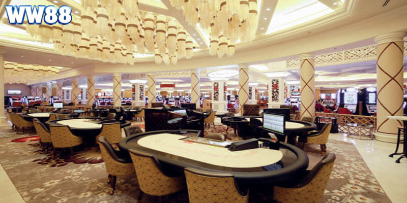 Lý do nên đến casino tại Hồ Tràm trong 2025